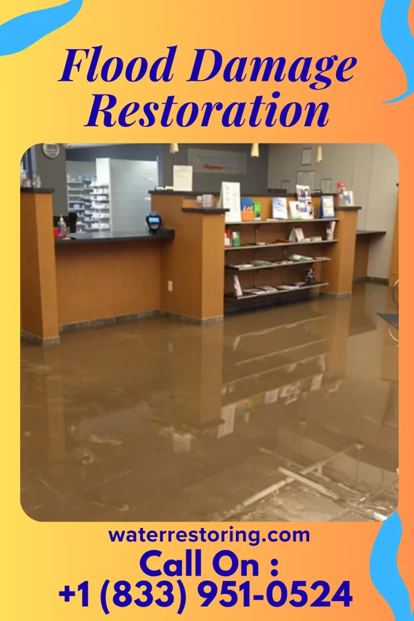Flood Damage Restoration in Whitney Point, NY
