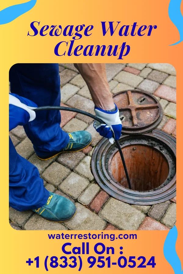 Sewage Water Cleanup in Whitney Point, NY